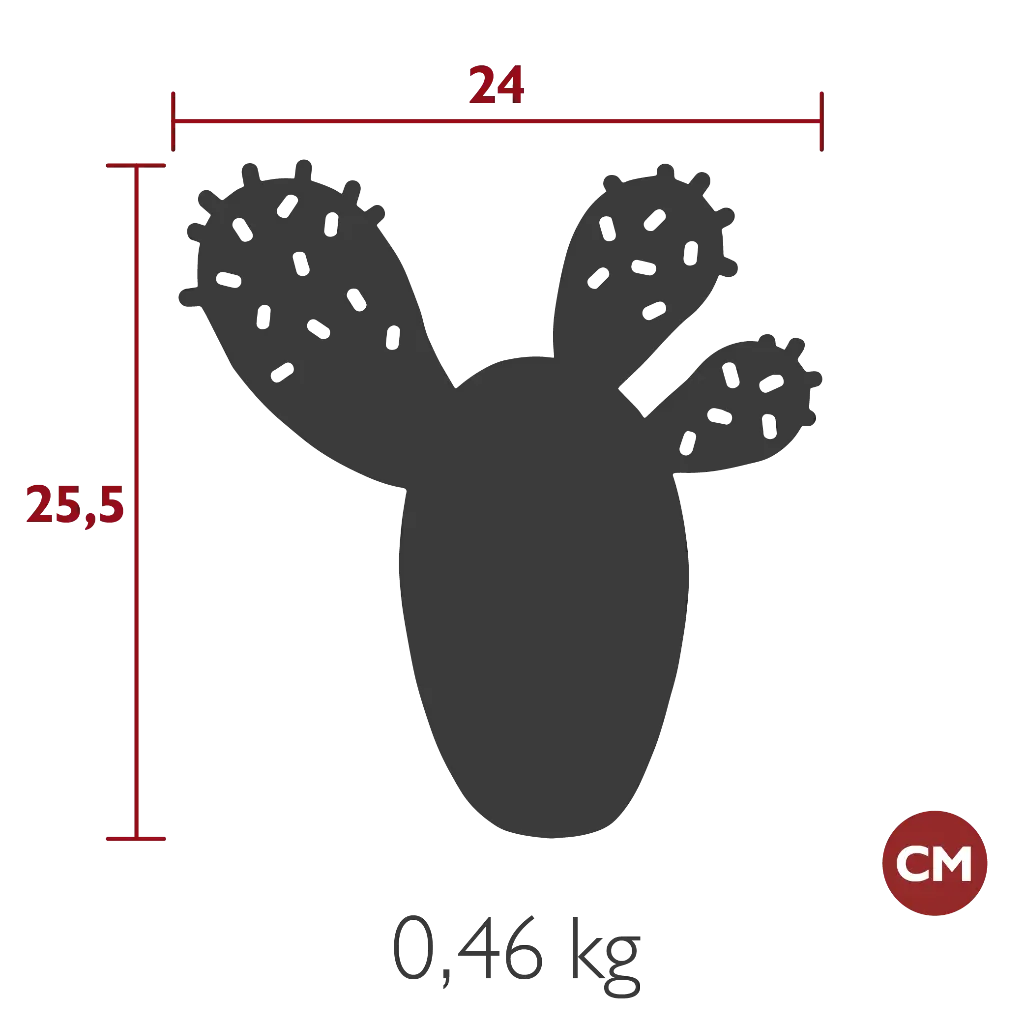 PICTO_DIM_BOUQUET_SAUVAGE_DESSOUS_PLAT_CACTUS_25.5X24_SKU_3008_FR.webp