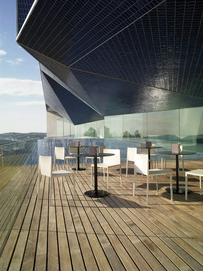 sail_andreu_world_15.webp