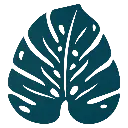 BOUQUET_SAUVAGE_DESSOUS_DE_PLAT_MONSTERA_BLEU_ACAPULCO_SKU_301821.webp