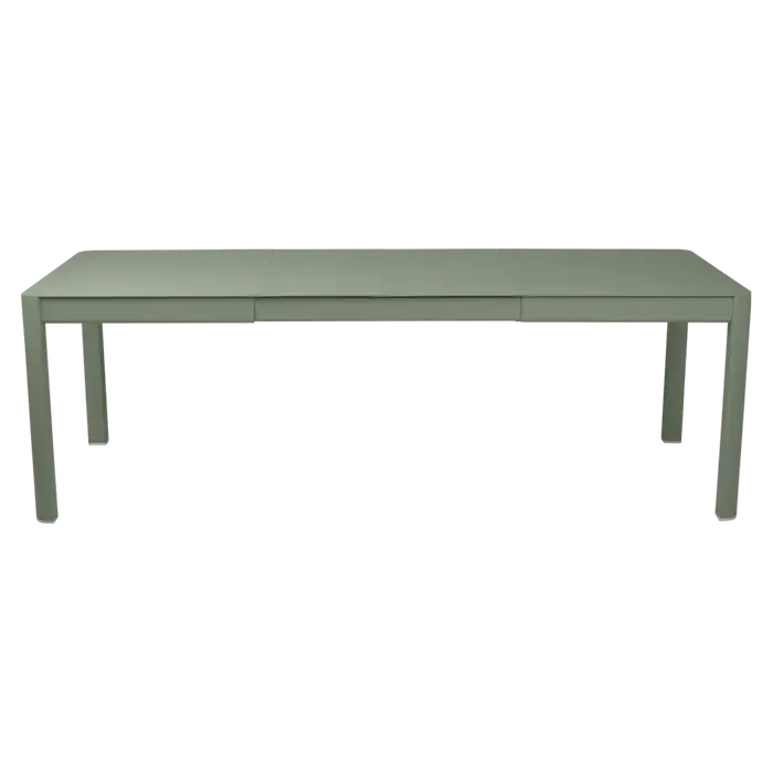 RIBAMBELLE_TABLE_2_ALLONGES_149_234X100_CACTUS_SKU_522182.webp